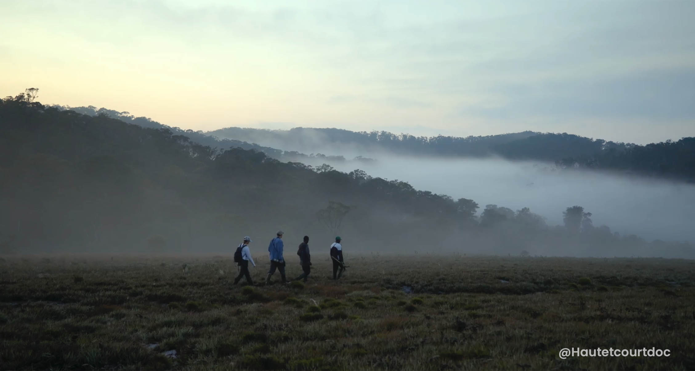 Birding Team