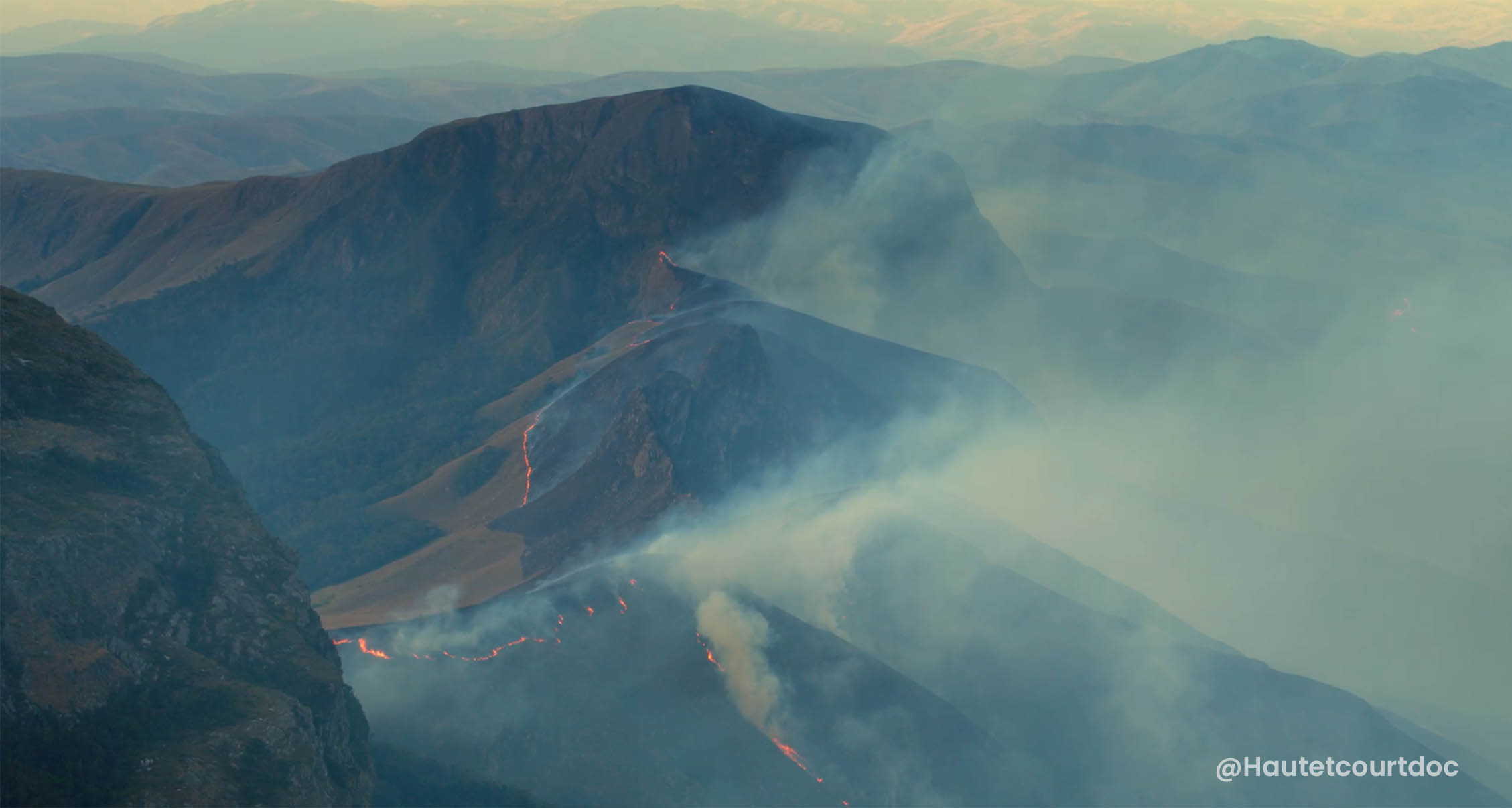 Bushfire line near the forest