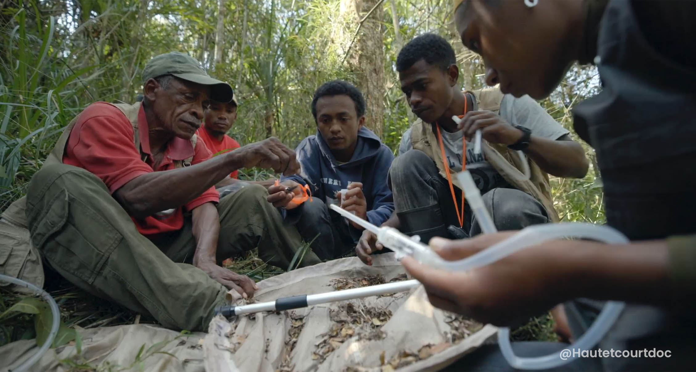 Centre Valbio insect team